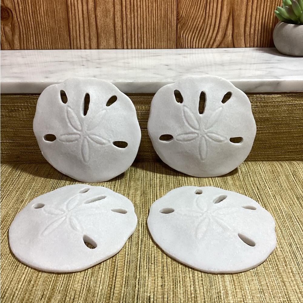 Faux White Sand Dollar Decor Set of 4